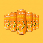 Κομπούχα γεύση Μάνγκο (330ml) Nexba