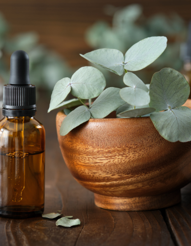 Κεραλοιφή Ρίγανη & Ευκάλυπτος (40ml) BioSamos