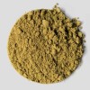 Πρωτεΐνη από Σπόρους Κάνναβης Hemp Protein (500γρ) Canah