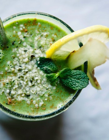 Πρωτεΐνη από Σπόρους Κάνναβης Hemp Protein (500γρ) Canah