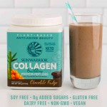 Vegan Πρωτεΐνη με Κολλαγόνο & Υαλουρονικό Οξύ 'Collagen Building Peptides' - Σοκολάτα (500γρ) Sunwarrior