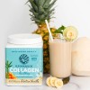 Vegan Πρωτεΐνη με Κολλαγόνο & Υαλουρονικό Οξύ 'Collagen Building Peptides' Βανίλια (500γρ) Sunwarrior