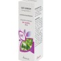 EIE Ginkgo Biloba για Μνήμη, Εμβοές (30ml) Adamah