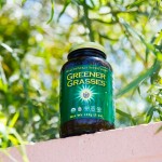 Μείγμα Πράσινων Φύλλων για Αλκαλοποίηση 'Greener Grasses' (142γρ) Health Force