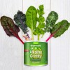 Μείγμα Πράσινων για Αλκαλοποίηση 'Alkaline 16 Greens' (220γρ) Alkaline Care