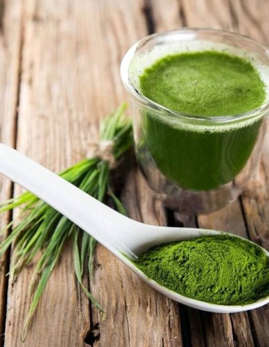 Μείγμα Πράσινων για Αλκαλοποίηση 'Alkaline 16 Greens' (220γρ) Alkaline Care