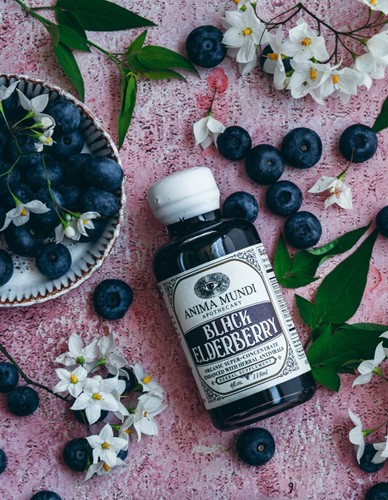 Διάλυμα Black Elderberry (59ml) Anima Mundi