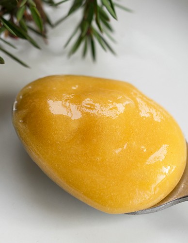 Ωμό Μέλι Μανούκα MGO 250+ (250γρ) Nui Honey