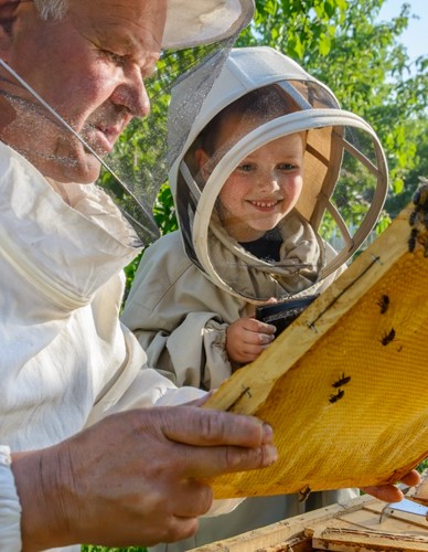 Ωμό Μέλι Μανούκα MGO 100+ (250γρ) Nui Honey