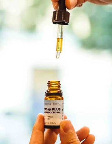 Έλαιο Κάνναβης CBD 5% (500mg) με Μαστιχέλαιο Χίου 'MILD' (10ml) YPSILON