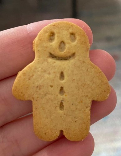 Μπισκότα Ολικής Mίνι Gingerbread +12μ (5x20γρ) Organix