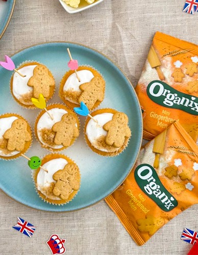 Μπισκότα Ολικής Mίνι Gingerbread +12μ (5x20γρ) Organix