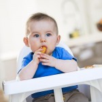 Μαλακά Μπαστουνάκια Καρότου 'Melty Carrot Puffs' +6μ (8x20γρ) Organix