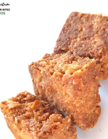 Low-Carb Μπουκίτσες 'Bites' Καρύδα - Χωρίς Γλουτένη (100γρ) Panifactum