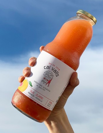 Χυμός Ρόζ Γκρέιπφρουτ (750ml) Cal Valls