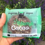 Vegan Μπισκότο Βρώμης-Κάσιους με Κάνναβη & Κακάο (50γρ) Kookie Cat