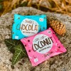 Vegan Μπαλίτσες Brownie με Καρύδα κ' Κομματάκια Σοκολάτας (40γρ) Roobar