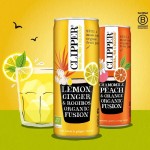 Παγωμένο Ρόφημα με Λεμόνι, Τζίντζερ & Rooibos (250ml) Clipper