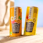 Παγωμένο Ρόφημα με Λεμόνι, Τζίντζερ & Rooibos (250ml) Clipper