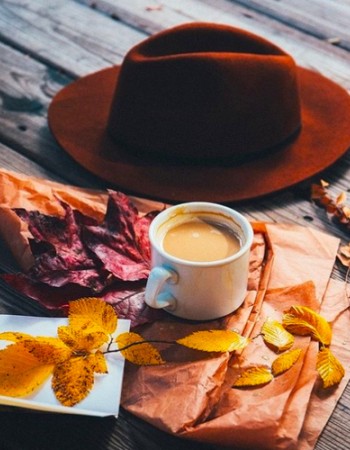 Μαύρο Τσάι Mασάλα με Ινδικά Μπαχαρικά 'Indian Chai' (20 φκλ) Clipper