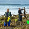 Φύκια Nori Σε Νιφάδες (40γρ) Wild Irish Seaweed