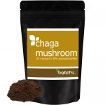 Εκχύλισμα Μανιταριού Chaga 10:1 σε Σκόνη (50γρ) Biosophy
