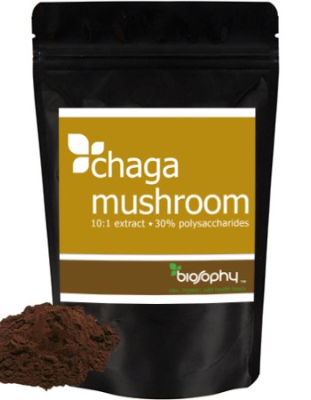 Εκχύλισμα Μανιταριού Chaga 10:1 σε Σκόνη (50γρ) Biosophy