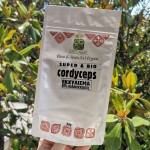 Εκχύλισμα Μανιταριού Cordyceps 8:1 σε Σκόνη με 30% Πολυσακχαρίτες (50γρ) Green Bay