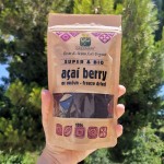 Ασαΐ Μπέρι (Acai Berry) σε Σκόνη (100γρ) Green Bay