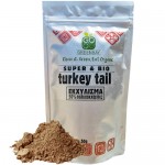 Εκχύλισμα Μανιταριού Turkey Tail 10:1 σε Σκόνη με 50% Πολυσακχαρίτες (50γρ) Green Bay