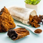 Chaga Mανιτάρι σε Σκόνη (100γρ) Green Bay