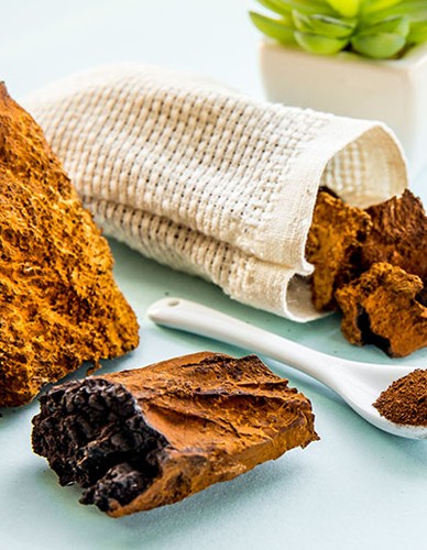 Chaga Mανιτάρι σε Σκόνη (100γρ) Green Bay