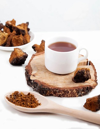 Chaga Mανιτάρι σε Σκόνη (100γρ) Green Bay