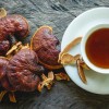 Μανιτάρι Reishi (Γανόδερμα) σε Σκόνη (100γρ) Green Bay