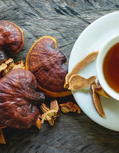 Μανιτάρι Reishi (Γανόδερμα) σε Σκόνη (100γρ) Green Bay