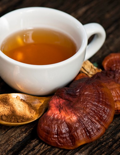 Μανιτάρι Reishi (Γανόδερμα) σε Σκόνη (100γρ) Green Bay