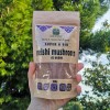 Μανιτάρι Reishi (Γανόδερμα) σε Σκόνη (100γρ) Green Bay