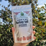 Εκχύλισμα Μανιταριού Turkey Tail 10:1 σε Σκόνη με 50% Πολυσακχαρίτες (50γρ) Green Bay