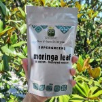 Φύλλο Moringa Oleifera σε Σκόνη (100γρ) Green Bay