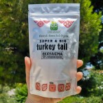 Εκχύλισμα Μανιταριού Turkey Tail 8:1 σε Σκόνη με 30% Πολυσακχαρίτες (50γρ) Green Bay
