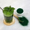 Χλωρέλλα σε Σκόνη 'Broken Cell' (100γρ) Green Bay