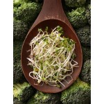 Σπόροι Μπρόκολου (Brassica Oleracea) για Φύτρα (100γρ) Βiosophy