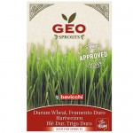 Σπόροι Σιταριού (Triticum Durum) για Φύτρα (80γρ) Geo