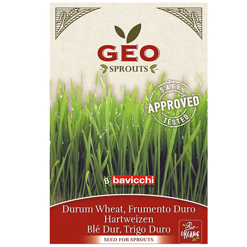 Σπόροι Σιταριού (Triticum Durum) για Φύτρα (80γρ) Geo
