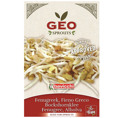 Σπόροι Τριγωνέλλας (Feοnum Graecum) για Φύτρα (35γρ) Geo
