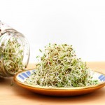 Σπόροι Άλφαλφα (Medicago Sativa) για Φύτρα (40γρ) Geo