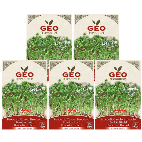 Σπόροι Μπρόκολου (Brassica Oleracea) για Φύτρα (13γρ x 5) Geo