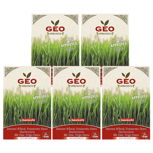 Σπόροι Σιταριού (Triticum Durum) για Φύτρα (40γρ x 5) Geo